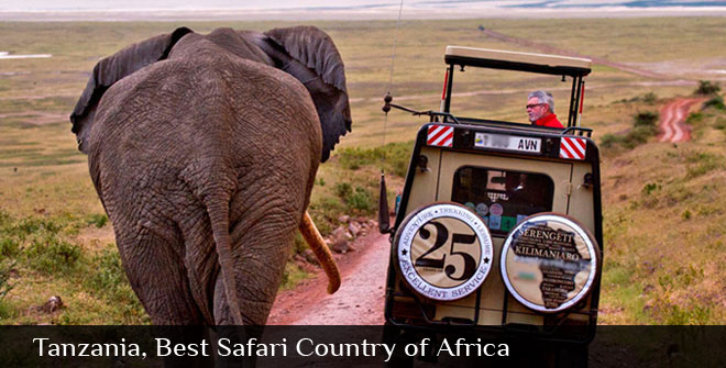 Best Safari Country of Africa