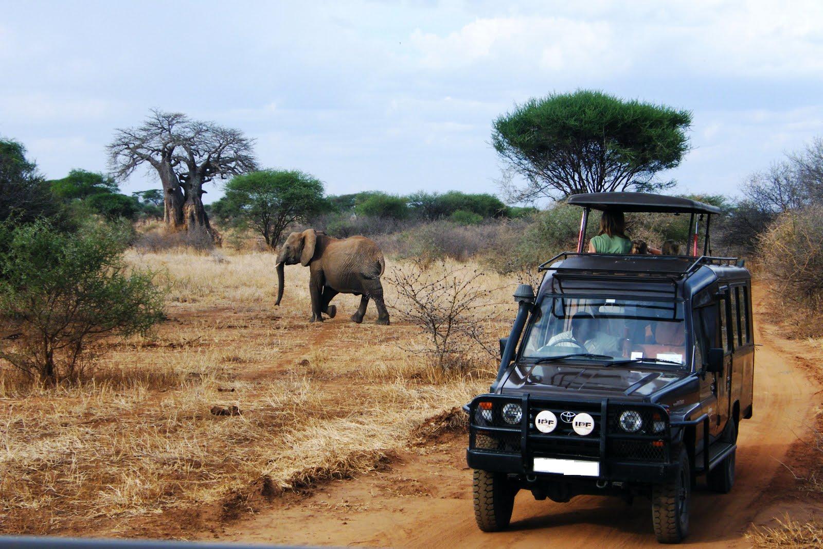 landcruiser_tanzania_safaris